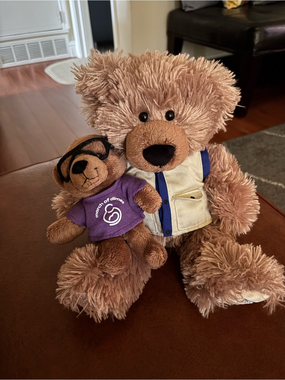 GUND 2015 United Airlines Ben Flying and Elijah - March of dimes collectible!